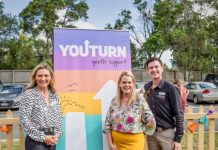 Spotlight on domestic violence