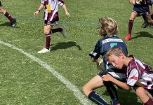 Action packed round for Dolphin juniors