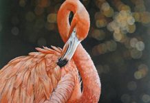 It’s all about animals with this Youth Art Project