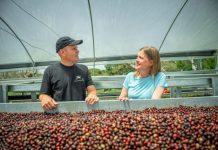 World’s most sought-after coffee comes to Noosa