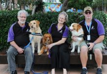 Urgent call for canine foster carers