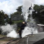 Rattler_280113_02.jpg