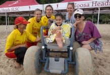 Seahorses ride the waves for 10 years