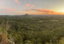 Behind the last green link