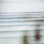 brine_278273_02.jpg