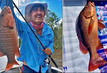 Swells and winds hinder fishers