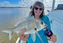 Calm before the storm