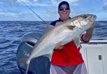 Wild weather puts fishing on hold