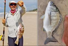 Mid week action delivers mixed bags