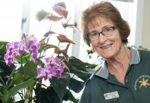 Orchids challenge the grower