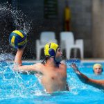 polo_278719_03.jpg