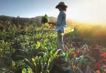 Rasta here for Regen expo