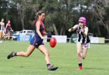 Tigers rest after five tough rounds