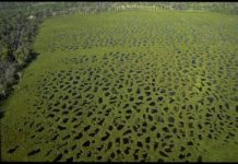 World Heritage for Cooloola?