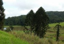 Proud Mary: a river story