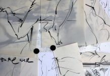 International artist calls Imbil home