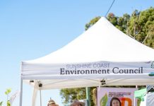 World Environment Day Festival returns to the region