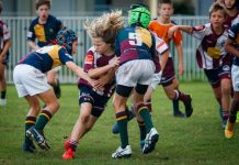 Dolphins swim through tough battles