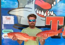 Winter brings welcome return offshore