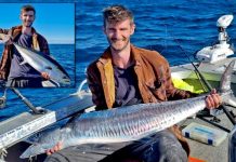 Winds of change deliver