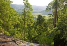 Protecting native species