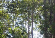 Holiday fun on Sunshine Coast