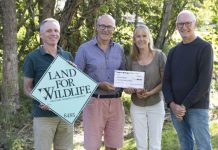 How Noosa Springs saved its koalas