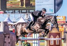 Competing on the world stage