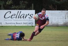 Dolphins leap up the ladder