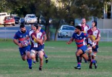 Dolphins set for critical match