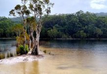 Early results show Great Walk opposition