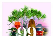99 ways to see Noosa