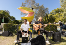 Noosa Busking Championships are back