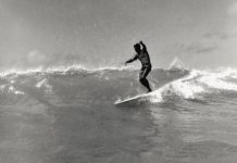 Blue’s Hawaiian dream