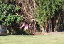 Another win for Dolphins