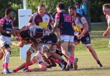 Dolphins bow to Barbarians