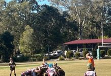 Dolphins tough hit out after holidays