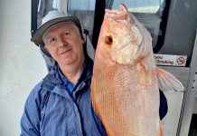 Best time to go fishing