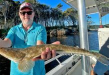 Winter weather continues