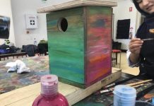 Build a wildlife box