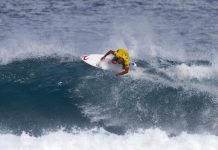 An unlikely pair of mates