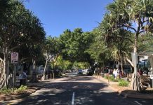 Remediation work underway after suspected Noosa Heads tree kill