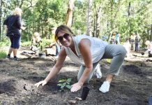 6 reasons why events are important in Noosa