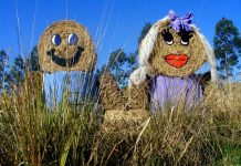 Scarecrows head back to the Mary Valley