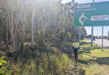 Milestone for Direct Sunshine Coast Line planning study