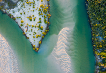 Blue Care-Kabi Kabi People agreement sows seeds for new careers