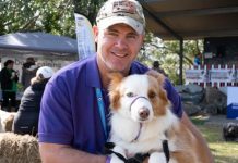 Lives changed by dogs