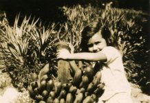 Yes, we have no bananas