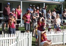 Women’s cricket to feature this season