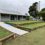 cricket_294162_01.jpg